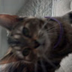 Meet your Posher, Amiah